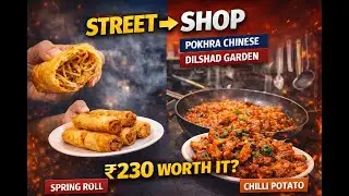 Pokhra Chinese Dilshad Garden 🔥 | Spring Roll & Chilli Potato | Honest Review