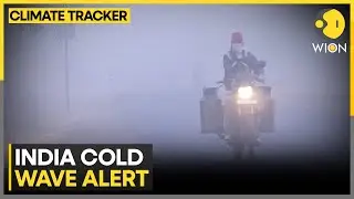 Freezing North India: Dense Fog Grips Delhi, IMD Warns of Peak Chill  | WION Climate Tracker