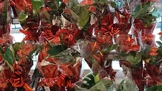 جديد  ليدل💯🎁 هميزات روعة 🎁👌🛒🛒🛒🛒🛒