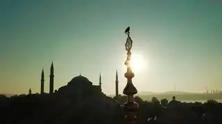 9 Dil Tek Seda 