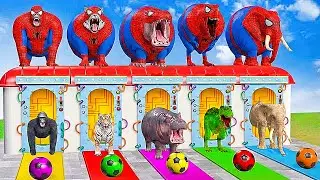 Long Slide Game With Elephant Gorilla Buffalo Hippopotamus Tiger - 3d Animal Game - Funny 3d Animals