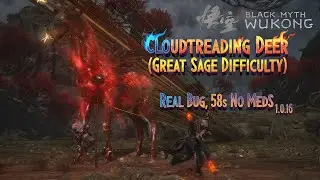 Black Myth Wukong: Cloudtreading Deer (Great Sage Difficulty), Real Bug, 58s No Meds 1.0.16