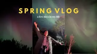 vlog: northern lights in Ontario, contact photography festival, toronto live music