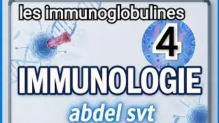 Les Immunoglobulines (Anticorps) : Structure, Types et Fonctions cours (Immunologie &ndash; Partie 4)