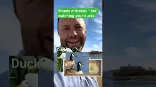 Checking accounts all the time - Money Myths with ducks, bucks & geese #finances #biblicalmoney