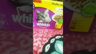 whiskas Jelly Pouch for Cat | Pet Products | Facebook Happy Pets Store