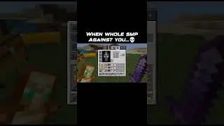 When Whole Smp is Against You...