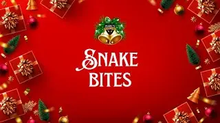 Snake Bites f&uuml;r Maximilian &ndash; clean, scharf, &auml;sthetisch I💉 Marc's Piercing TV UNVERPIXELT
