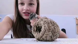 Vata pro křečky?! /unboxing nového úkrytu pro mého křečka.