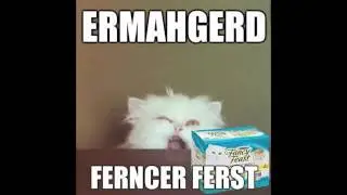 ERMAHGERD!! Ferncer Ferst!