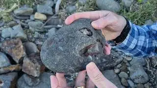 Noah's Flood Fossil Evidence - Warden Head, The Shoalhaven