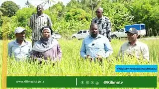 &ldquo;Waziri wa Kilimo Akoshwa na Mpunga Mlemele | Wengine Waige!&rdquo;
