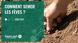 [TUTO] Comment semer les f&egrave;ves? &ndash; Jardinerie Gamm vert