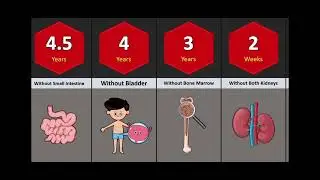 HOW HUMAN CAN LONG SURVIVE WITHOUT THIS ORGANS