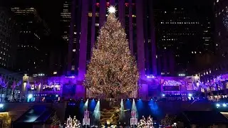 LIVE LOOK! Rockefeller Christmas Tree in New York City