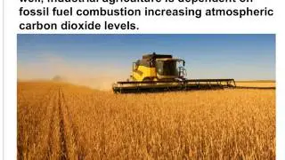 IB ESS - Nutrient Cycling Part I