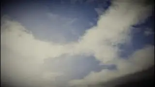 RDR2 Fishing