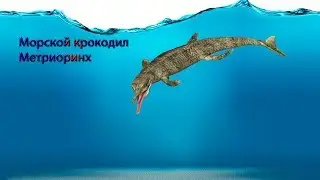 Метриоринх морской крокодил