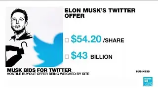 Does Elon Musk have the money to buy Twitter? &bull; FRANCE 24 English