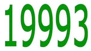 19993