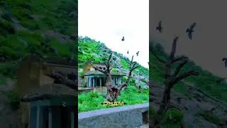 #loction .........#?? #videography #nuture #shortvideo #harharmahadev #tapkeshwarmandir #mokalwas