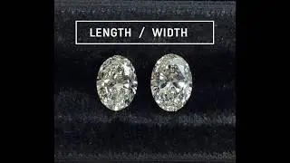 Oval Diamond Ratios: Lauren B Education Shorts Episode 1