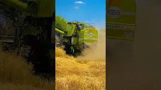 Preet and Kartar #harvester #harvestermachine #combineharvester  #combinemachine #harvesterwala