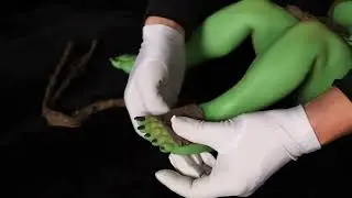 Green Skin Cosplay Monster Goblin Style ACG Anime Silicone Doll - Zarga #animedoll #goblindoll