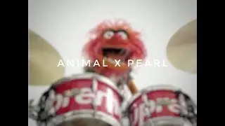 Animal X Pearl X Supreme Transcription