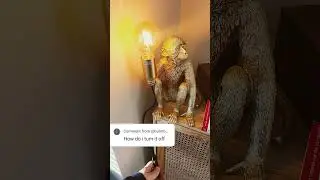 How to turn a lamp off