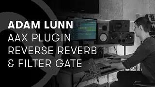 Adam Lunn &mdash; AAX Reverse Reverb & Filter Gate