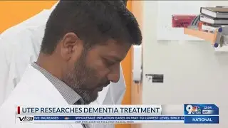UTEP researchers to explore potential new treatment against vascular dementia