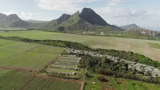 Lychee Garden in Mauritius