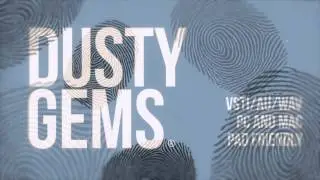 Vinyl VST HipHop Plugin Dusty Gems