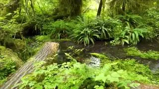 Paradise Of Yesterday - EARTH - Cataclysm