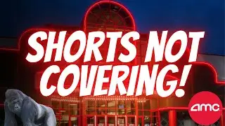 PROOF AMC Shorts Have Not Been Covering! (GREY SWANS COMING)