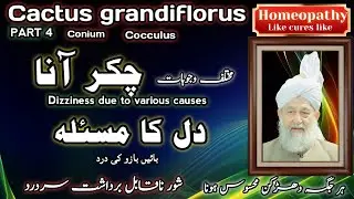 Chakr ana , Dil ka masla | Homeopathic cactus grandiflorus dizziness, heart problem