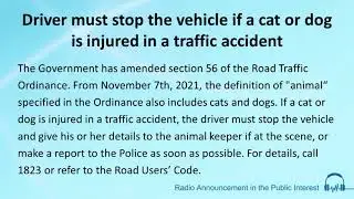 Driver must stop the vehicle if a cat or dog is injured in a traffic accident