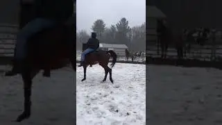 Bareback Horse Riding no bridle no rains