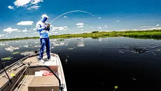 How to Catch More Bass with Swimbaits (Beginner to Pro Guide)