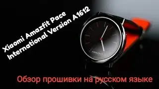 Умные часы от Xiaomi - Huami Amazfit Pace Watch A1612.Обзор комплектации и прошивки на русском языке