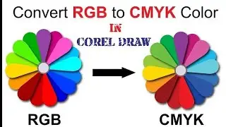Color palette Tutorial  Coreldraw x7 With as graphics