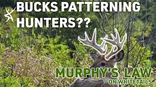BUCKS PATTERNING HUNTERS || Murphy's Law On Whitetails