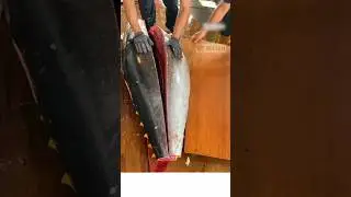 Massive $10,000 Bluefin Tuna.fish Breakdown for Sushi & Sashimi. #seafood