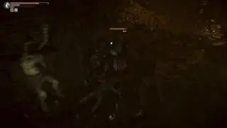 Demon's Souls - Торговец Пиявками