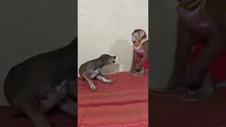 When I look at these animals, I feel really good.