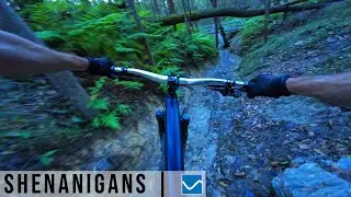 Shenanigans | RAW Run | Mt Cotton