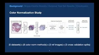 The Utility of Color Normalization for AI-Based Diagnosis of H&E-Stained Pathology Images