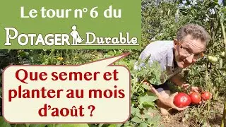Que semer et planter au mois d'août au potager ?