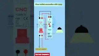 Timer switch connection with lamp